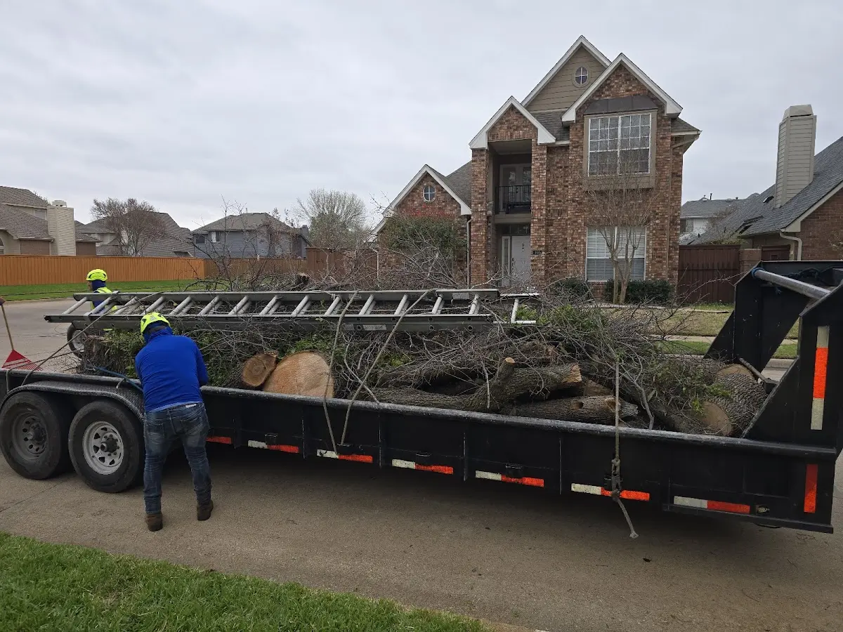Expert Tree Pest Control with proper safety equipment in Barstow